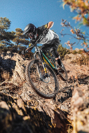 mondraker level